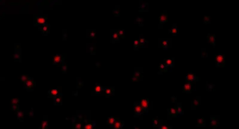 Truyện Tranh Ta Sáng Tạo Truyền Thuyết Đô Thị trang 4