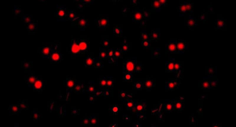 Truyện Tranh Ta Sáng Tạo Truyền Thuyết Đô Thị trang 4