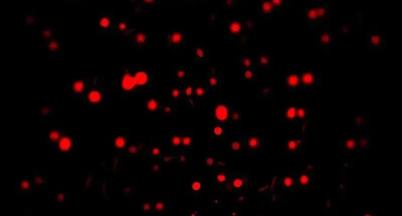 Truyện Tranh Ta Sáng Tạo Truyền Thuyết Đô Thị trang 4