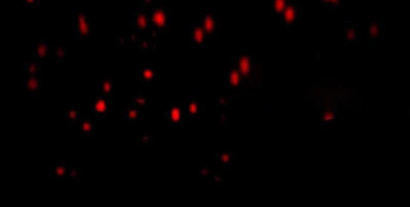 Truyện Tranh Ta Sáng Tạo Truyền Thuyết Đô Thị trang 4