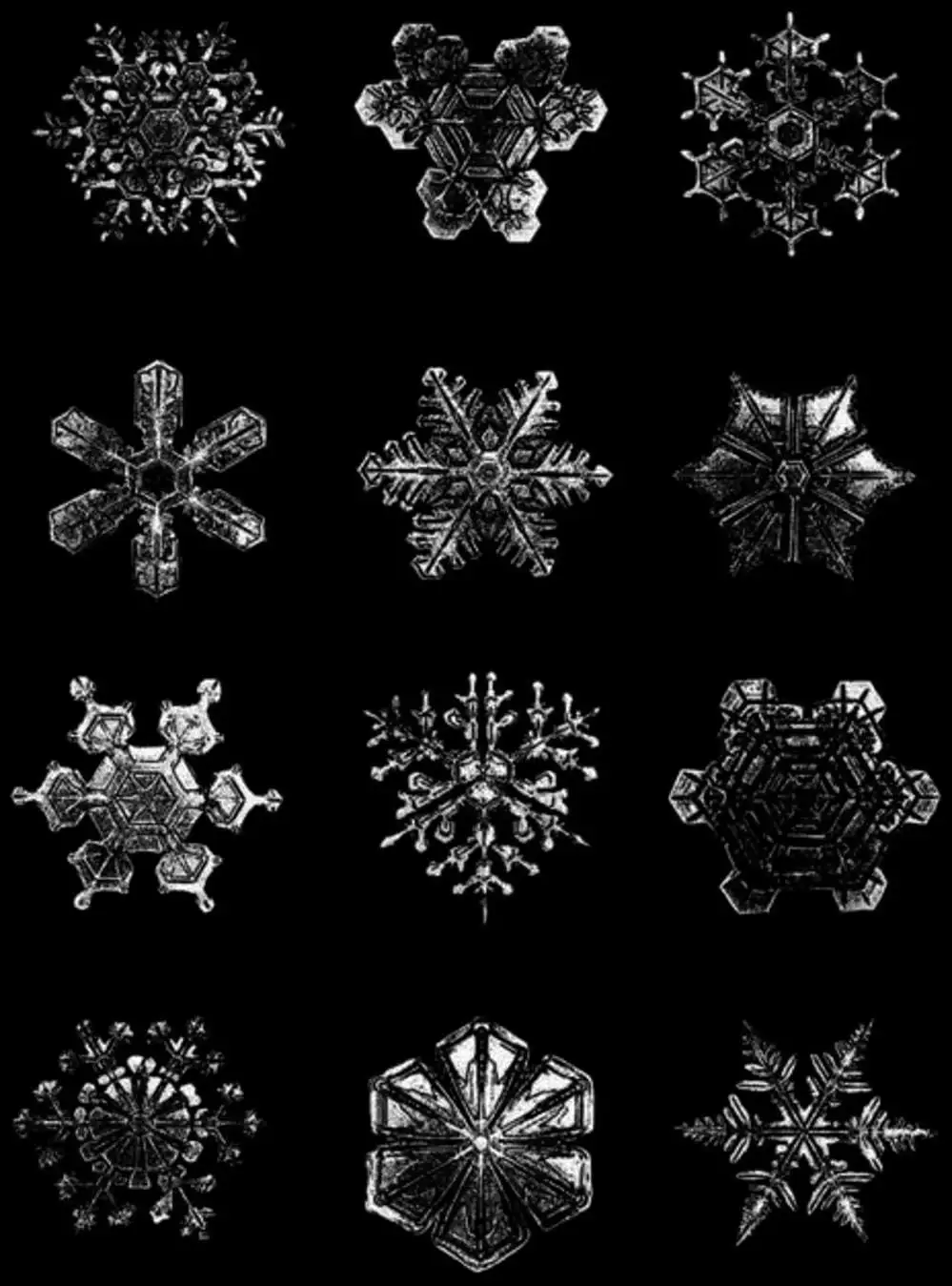 Truyện Tranh Người Cô Đơn - The Climber trang 7