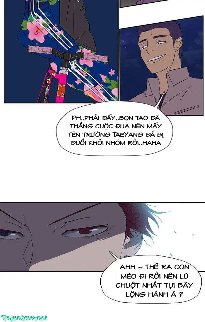 Truyện Tranh Thể Thao Cực Hạn - Wind Breaker trang 7