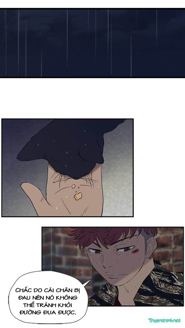 Truyện Tranh Thể Thao Cực Hạn - Wind Breaker trang 7