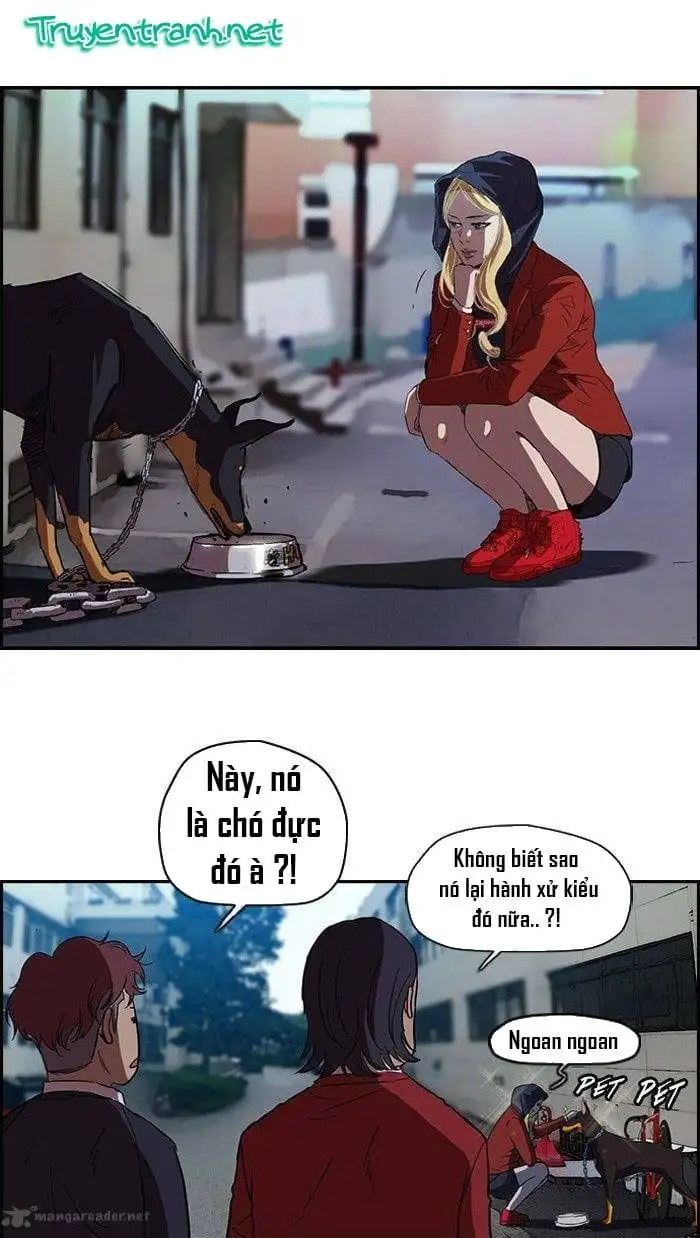 Truyện Tranh Thể Thao Cực Hạn - Wind Breaker trang 7