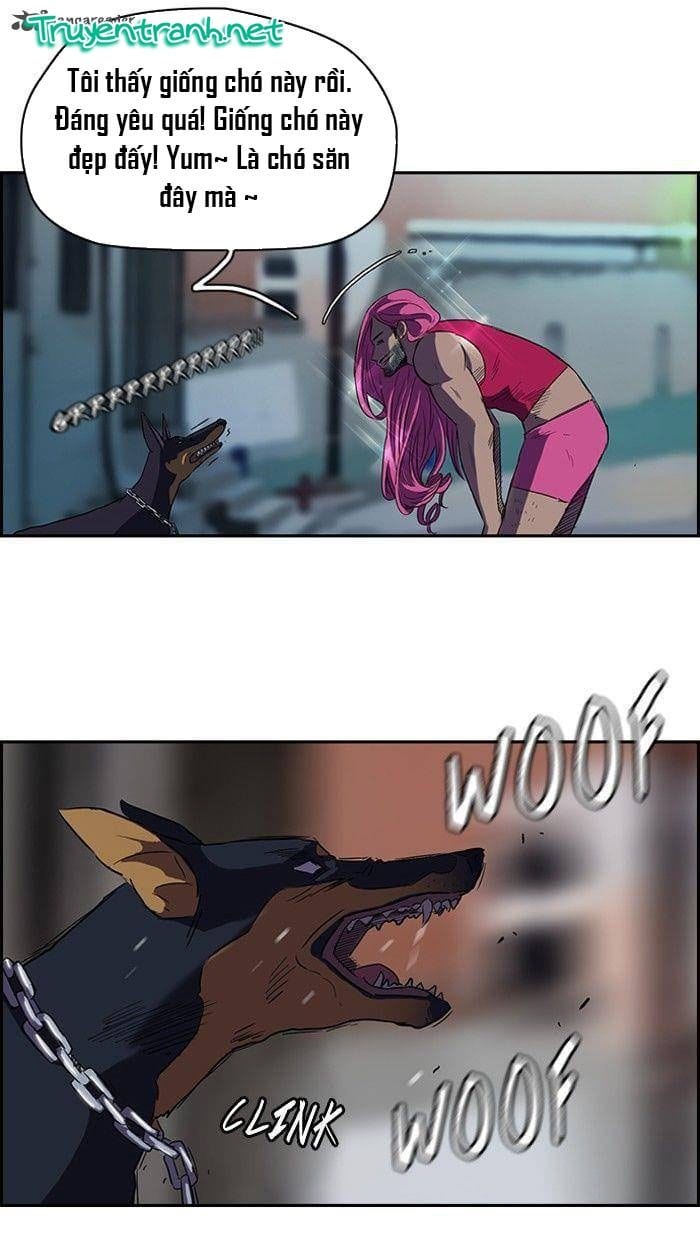 Truyện Tranh Thể Thao Cực Hạn - Wind Breaker trang 7