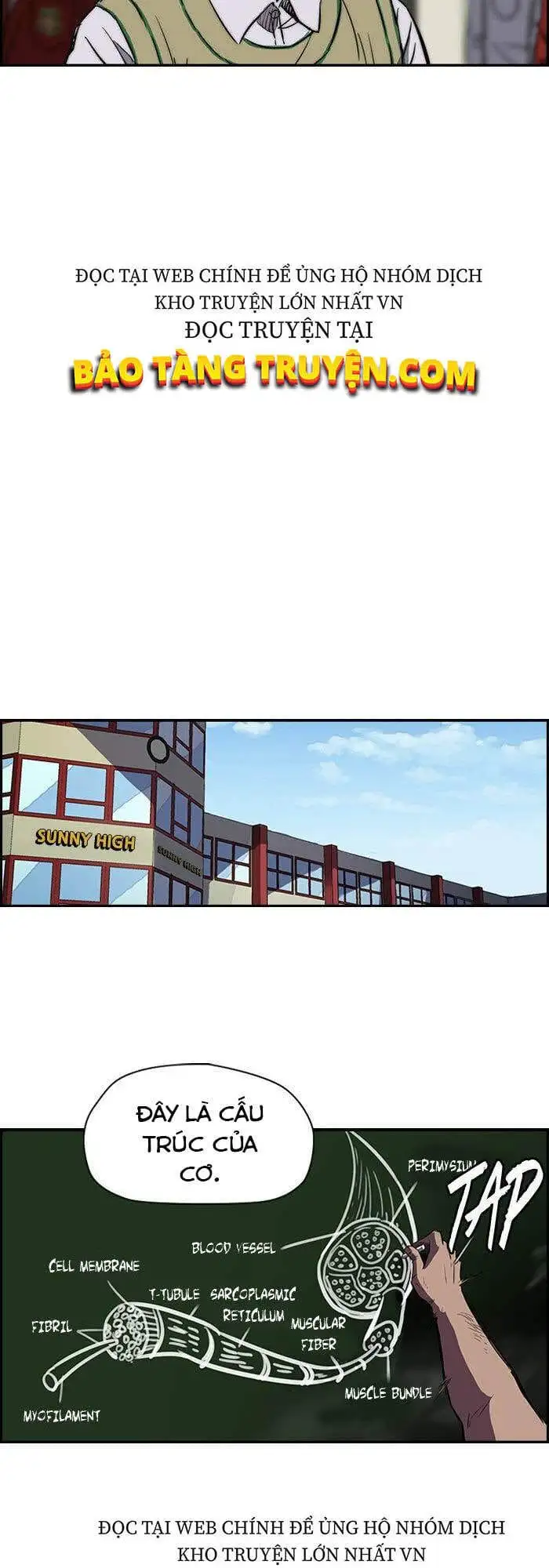 Truyện Tranh Thể Thao Cực Hạn - Wind Breaker trang 7
