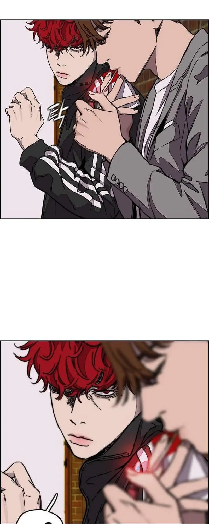 Truyện Tranh Thể Thao Cực Hạn - Wind Breaker trang 7