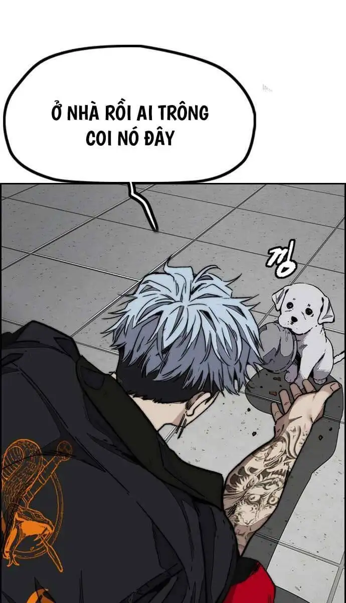 Truyện Tranh Thể Thao Cực Hạn - Wind Breaker trang 7