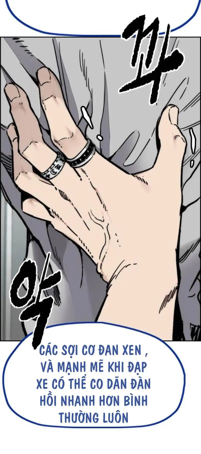 Truyện Tranh Thể Thao Cực Hạn - Wind Breaker trang 7