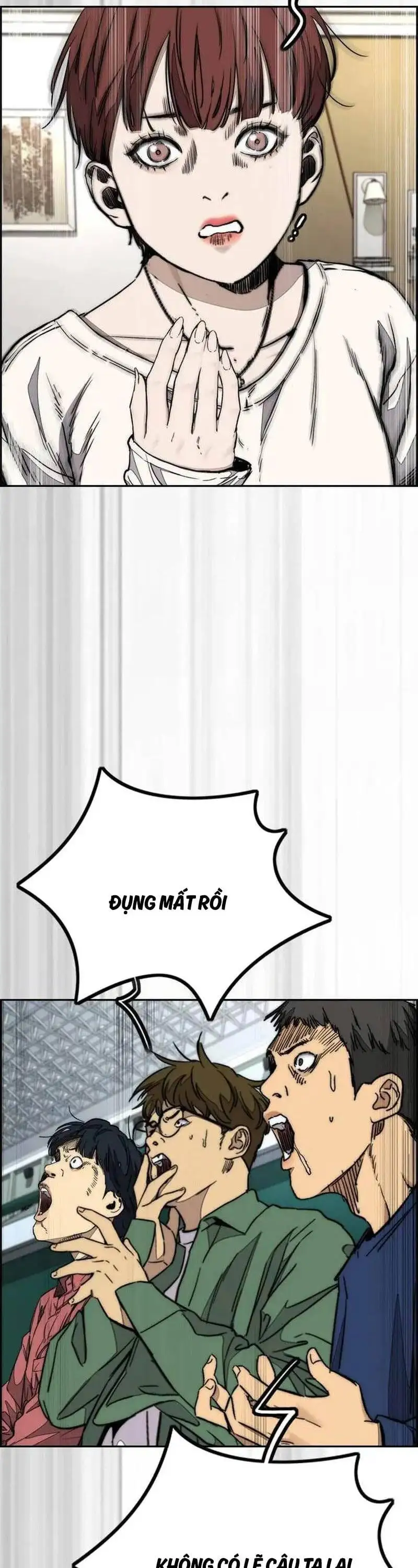 Truyện Tranh Thể Thao Cực Hạn - Wind Breaker trang 7