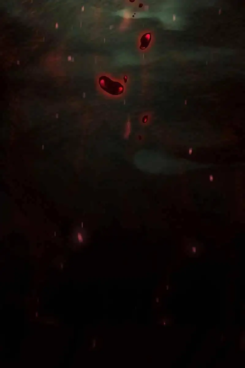 Truyện Tranh Thiết Huyết Kiếm Sĩ Hồi Quy trang 3