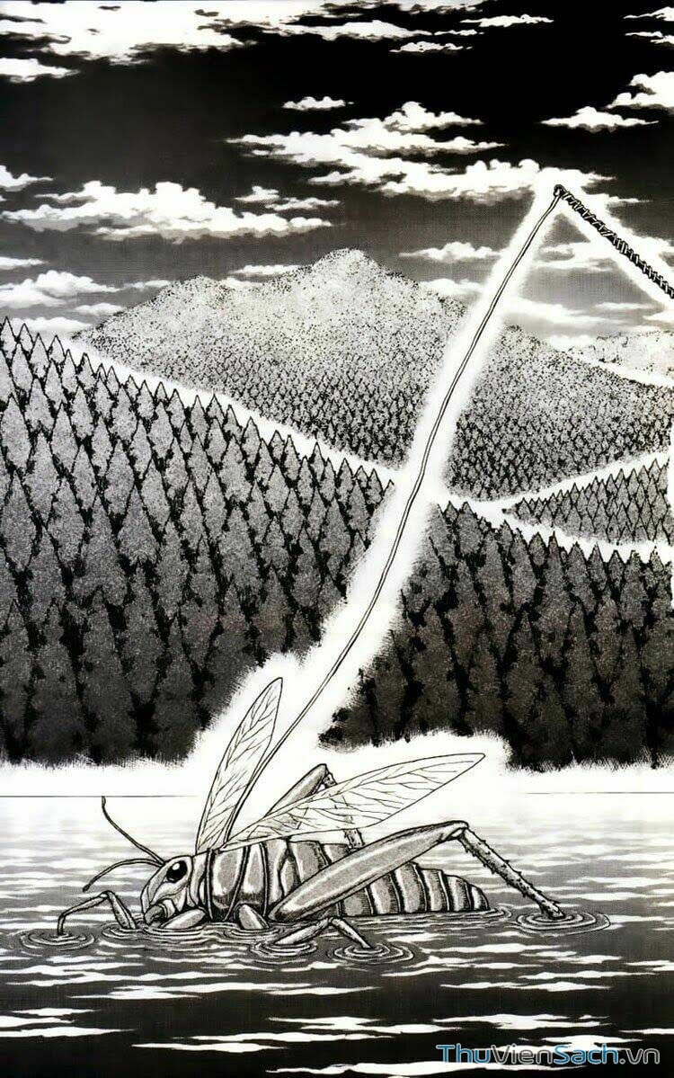 Truyện Tranh Thợ Săn Ẩm Thực - Toriko trang 5