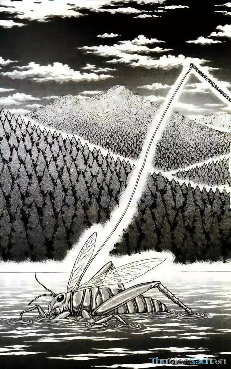 Truyện Tranh Thợ Săn Ẩm Thực - Toriko trang 5