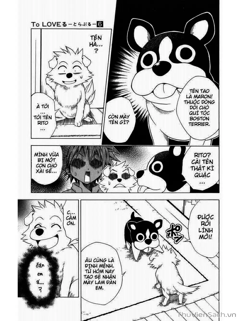 Truyện Tranh Bóng Tối Hoàng Kim - To Love Ru Darkness trang 8