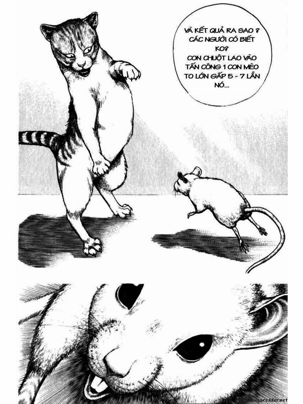 Truyện Tranh Khó Khăn - Tough trang 4