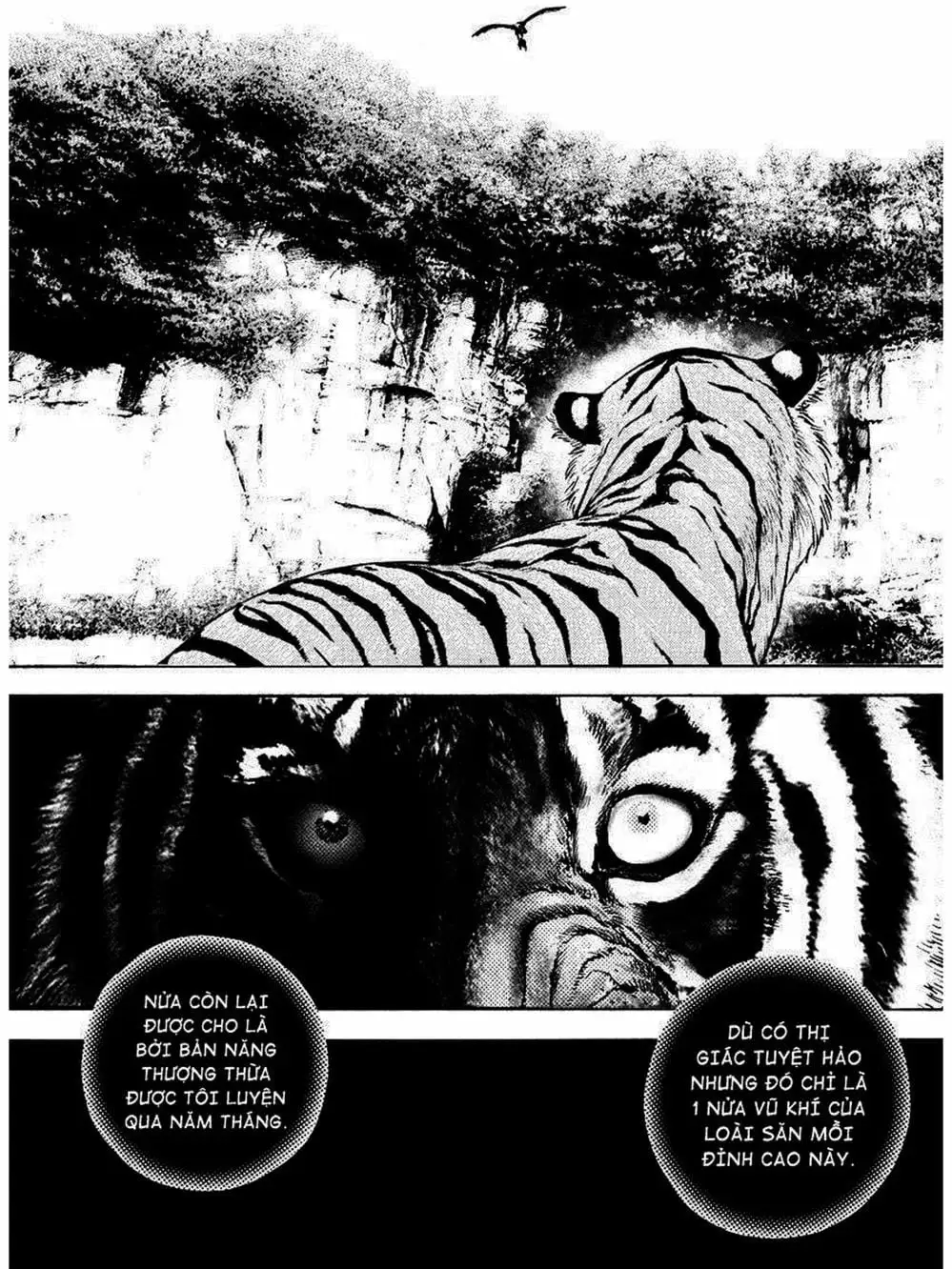 Truyện Tranh Khó Khăn - Tough trang 4