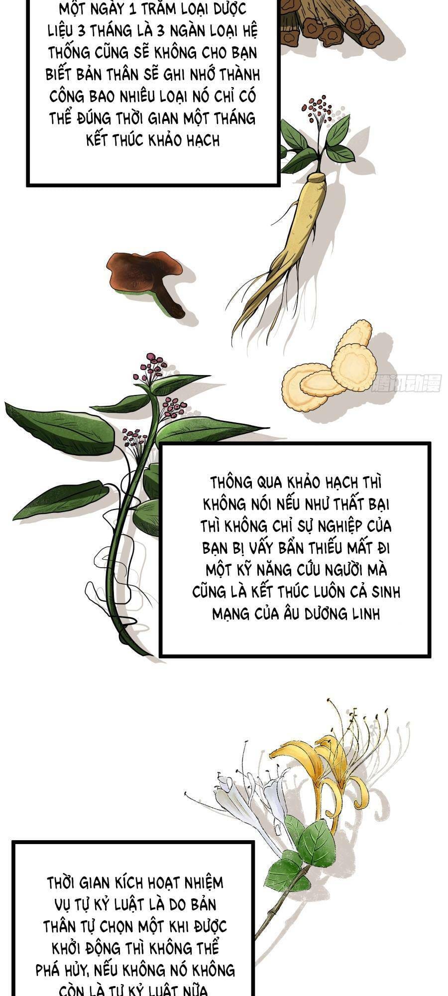 Truyện Tranh Tự Kỷ Luật Ta Đây Bất Khả Chiến Bại trang 6