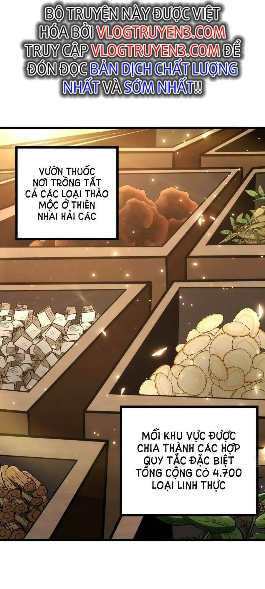 Truyện Tranh Tự Kỷ Luật Ta Đây Bất Khả Chiến Bại trang 6