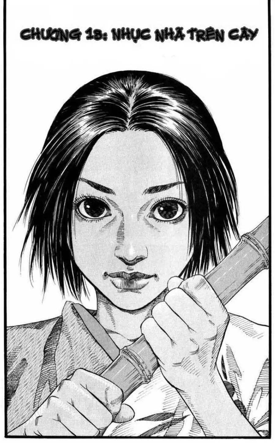 Truyện Tranh Lãng Khách - Vagabond trang 4