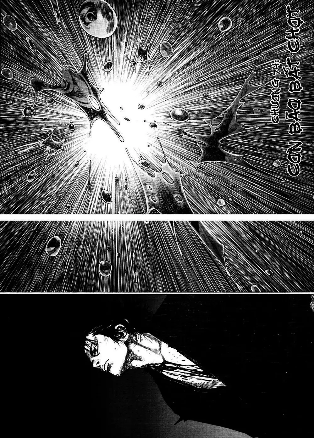 Truyện Tranh Lãng Khách - Vagabond trang 4