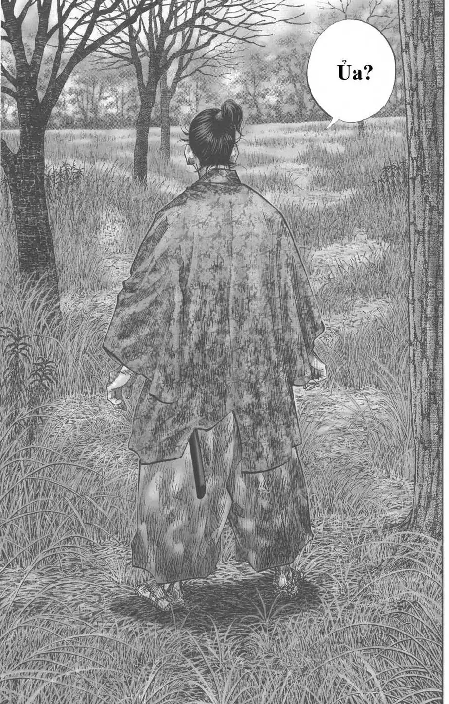 Truyện Tranh Lãng Khách - Vagabond trang 4