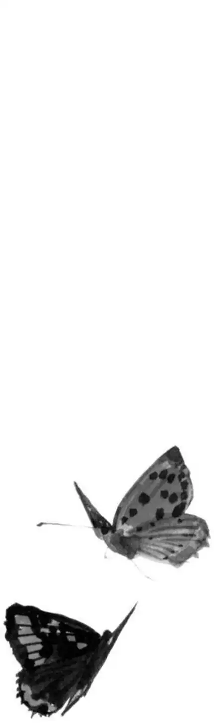 Truyện Tranh Lãng Khách - Vagabond trang 4