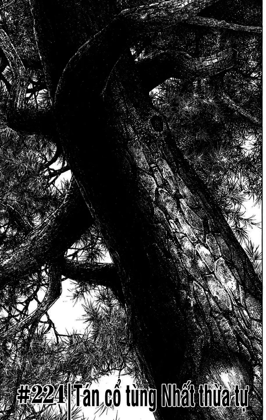 Truyện Tranh Lãng Khách - Vagabond trang 4