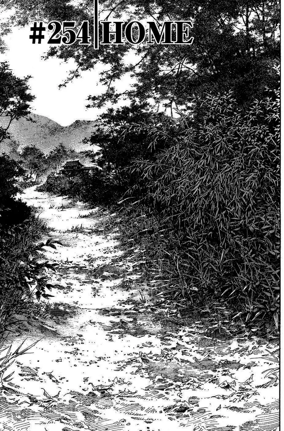 Truyện Tranh Lãng Khách - Vagabond trang 4