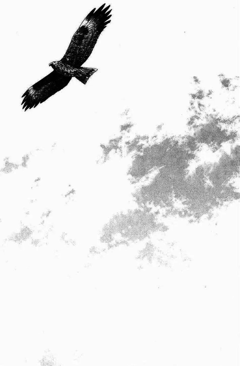 Truyện Tranh Lãng Khách - Vagabond trang 4