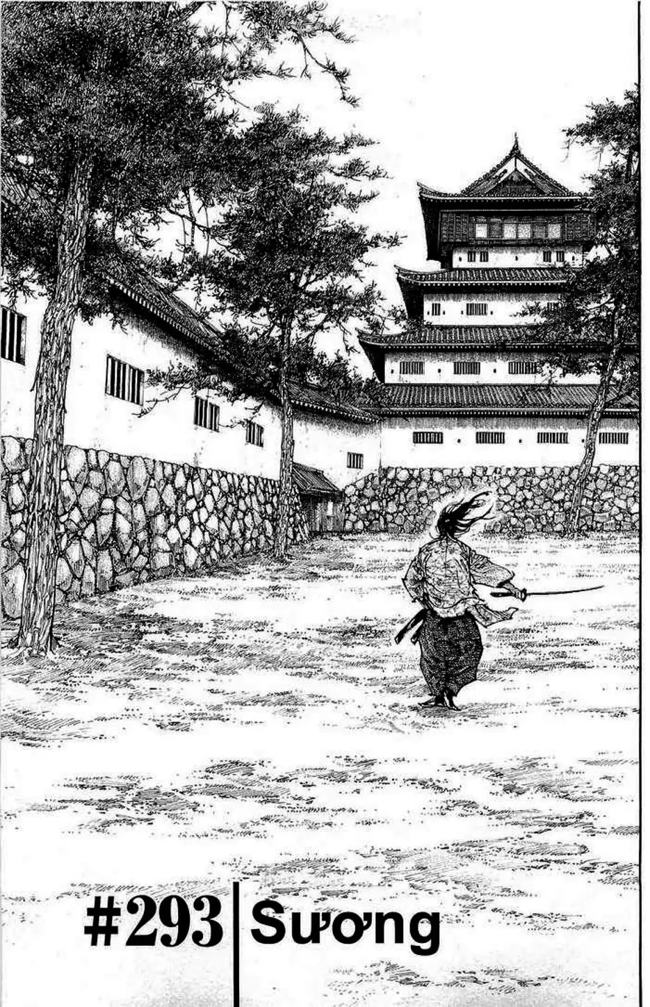 Truyện Tranh Lãng Khách - Vagabond trang 4