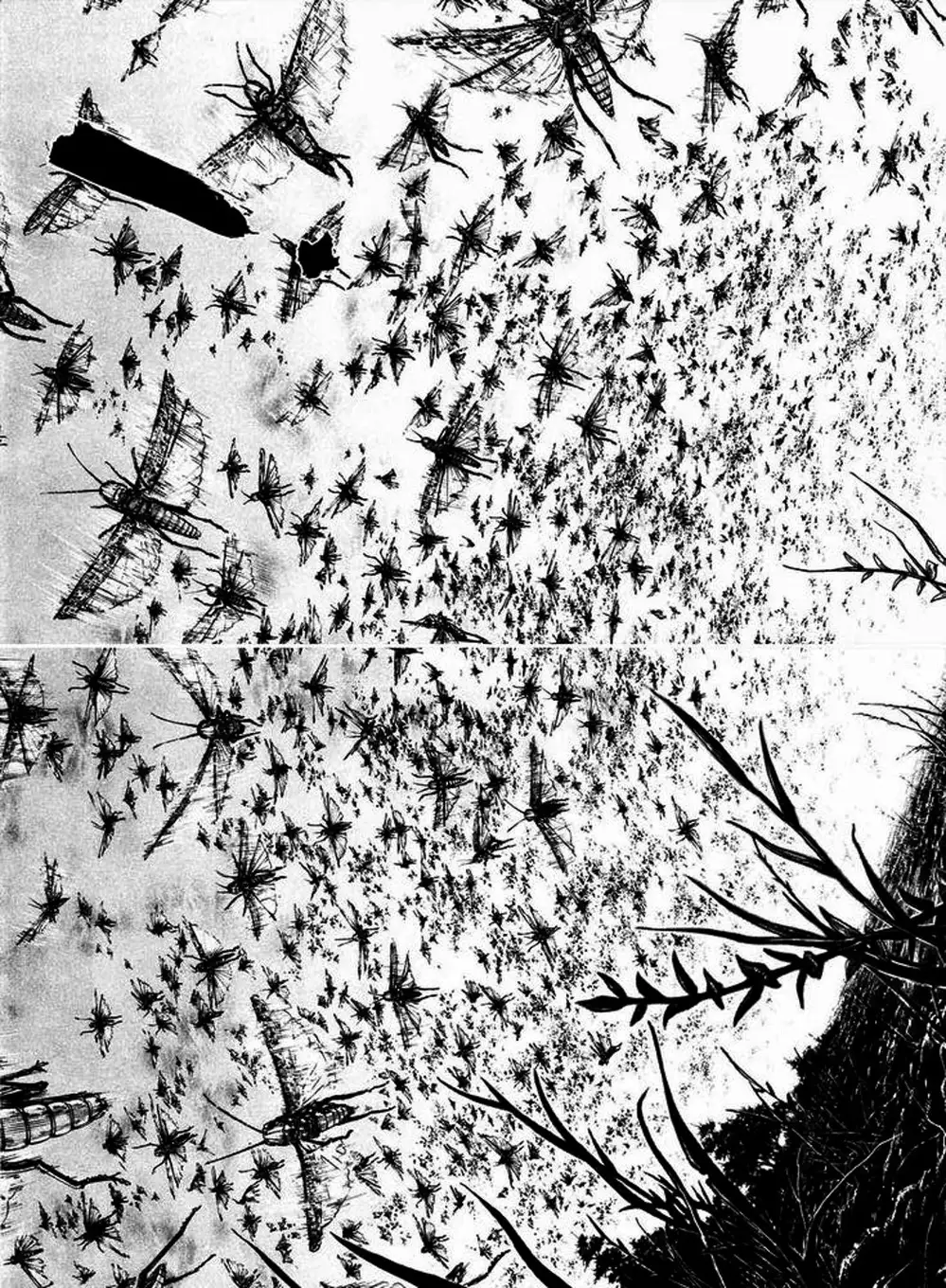 Truyện Tranh Lãng Khách - Vagabond trang 4