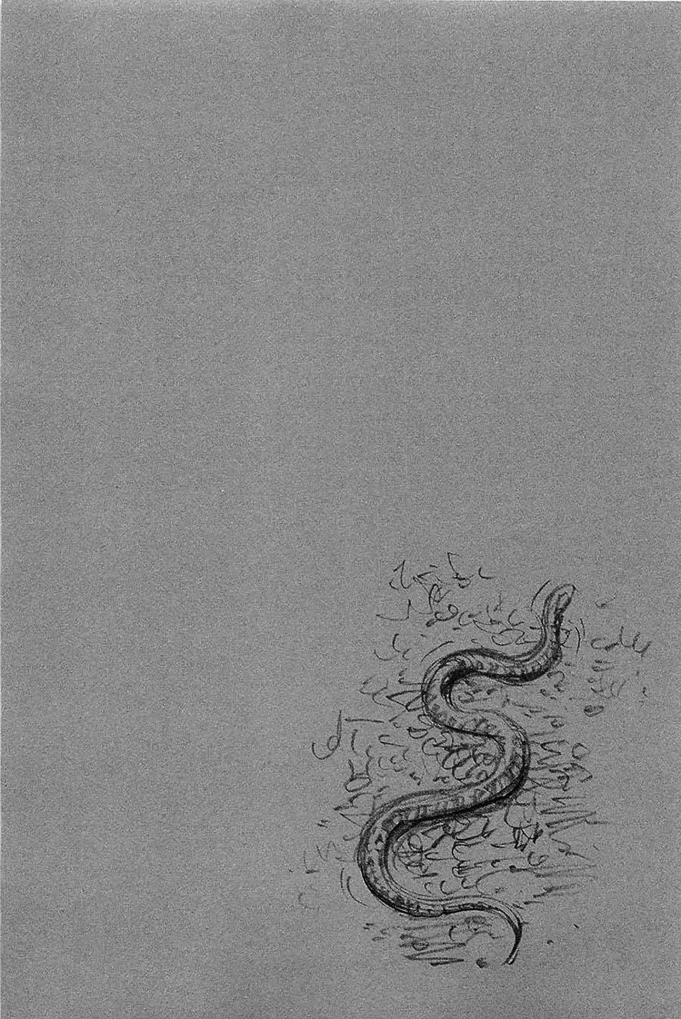 Truyện Tranh Lãng Khách - Vagabond trang 4