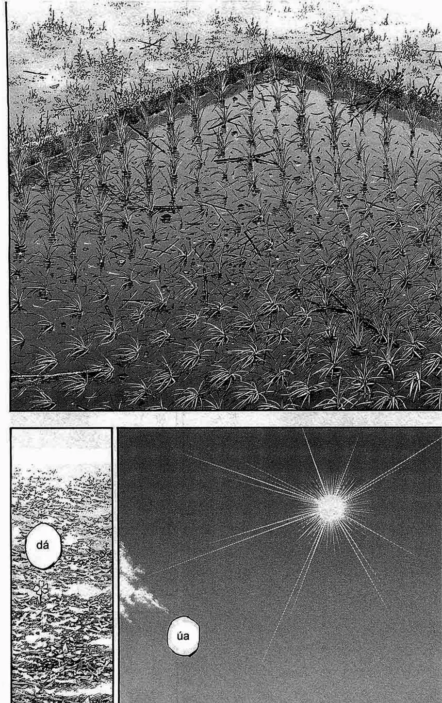 Truyện Tranh Lãng Khách - Vagabond trang 4