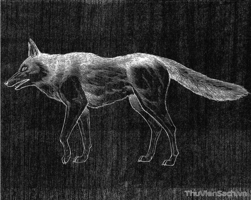 Truyện Tranh Vua Pháp Thuật - Shaman King trang 5