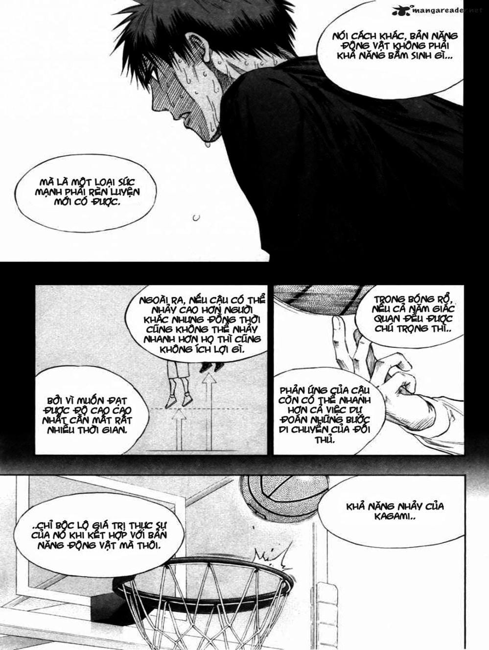Truyện Tranh Vua Bóng Rổ - Kuroko’s Basketball trang 3