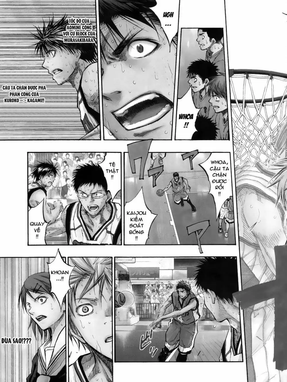 Truyện Tranh Vua Bóng Rổ - Kuroko’s Basketball trang 3