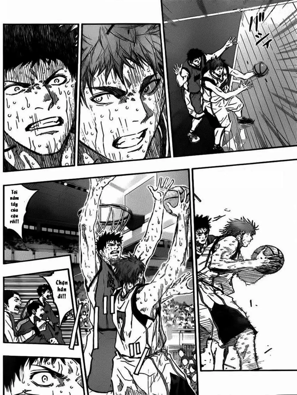 Truyện Tranh Vua Bóng Rổ - Kuroko’s Basketball trang 3
