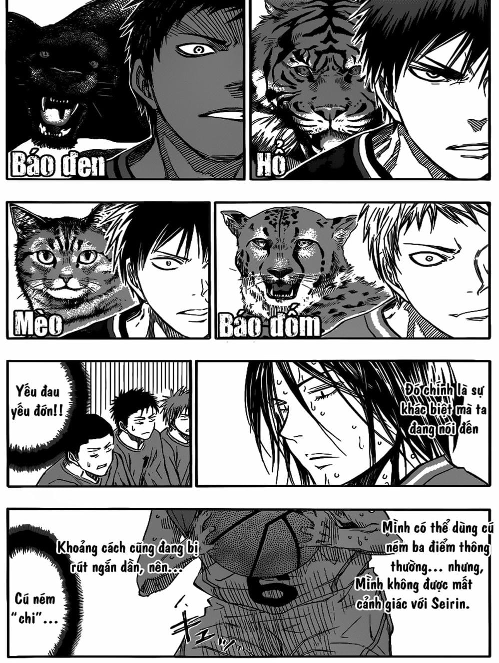 Truyện Tranh Vua Bóng Rổ - Kuroko’s Basketball trang 3