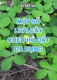 Ảnh Một Số Loài Cây Che Phủ Đất Đa Dụng