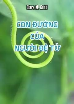 Ảnh Con Đường Của Người Đệ Tử