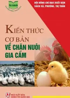 Ảnh Kiến Thức Cơ Bản Về Chăn Nuôi Gia Cầm