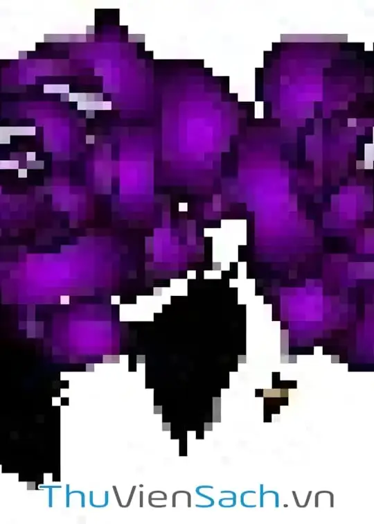 Ảnh bìa sách Nhật Ký Công Chúa