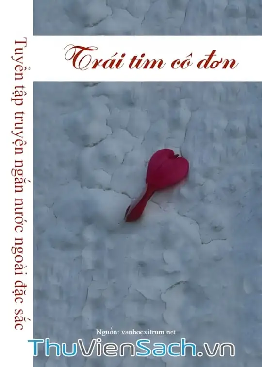 Ảnh bìa sách Trái Tim Cô Đơn