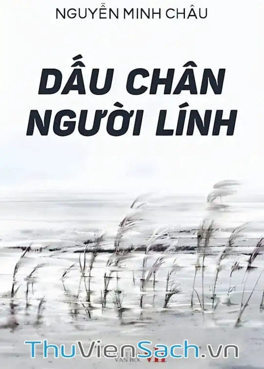 Ảnh bìa sách Dấu Chân Người Lính