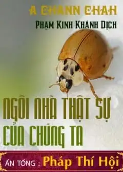 Ảnh Ngôi Nhà Thật Sự Của Chúng Ta