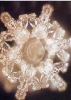 Ảnh Nước Phản Ảnh Tâm Thức Của Chúng Ta