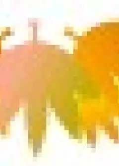 Ảnh Thủy Tinh Trong Suốt.