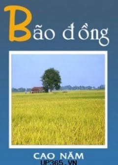 Bão Đồng