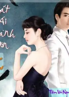 Ảnh Bất Ái Thành Hôn