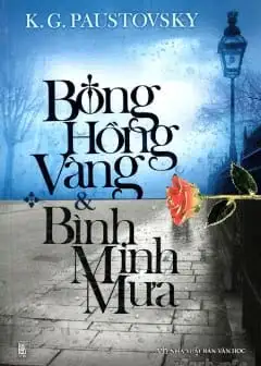 Bông Hồng Vàng Và Bình Minh Mưa